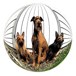 Das Terrierteam